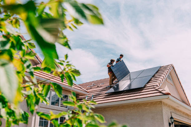 Best Roof Maintenance Services  in Chalco, NE